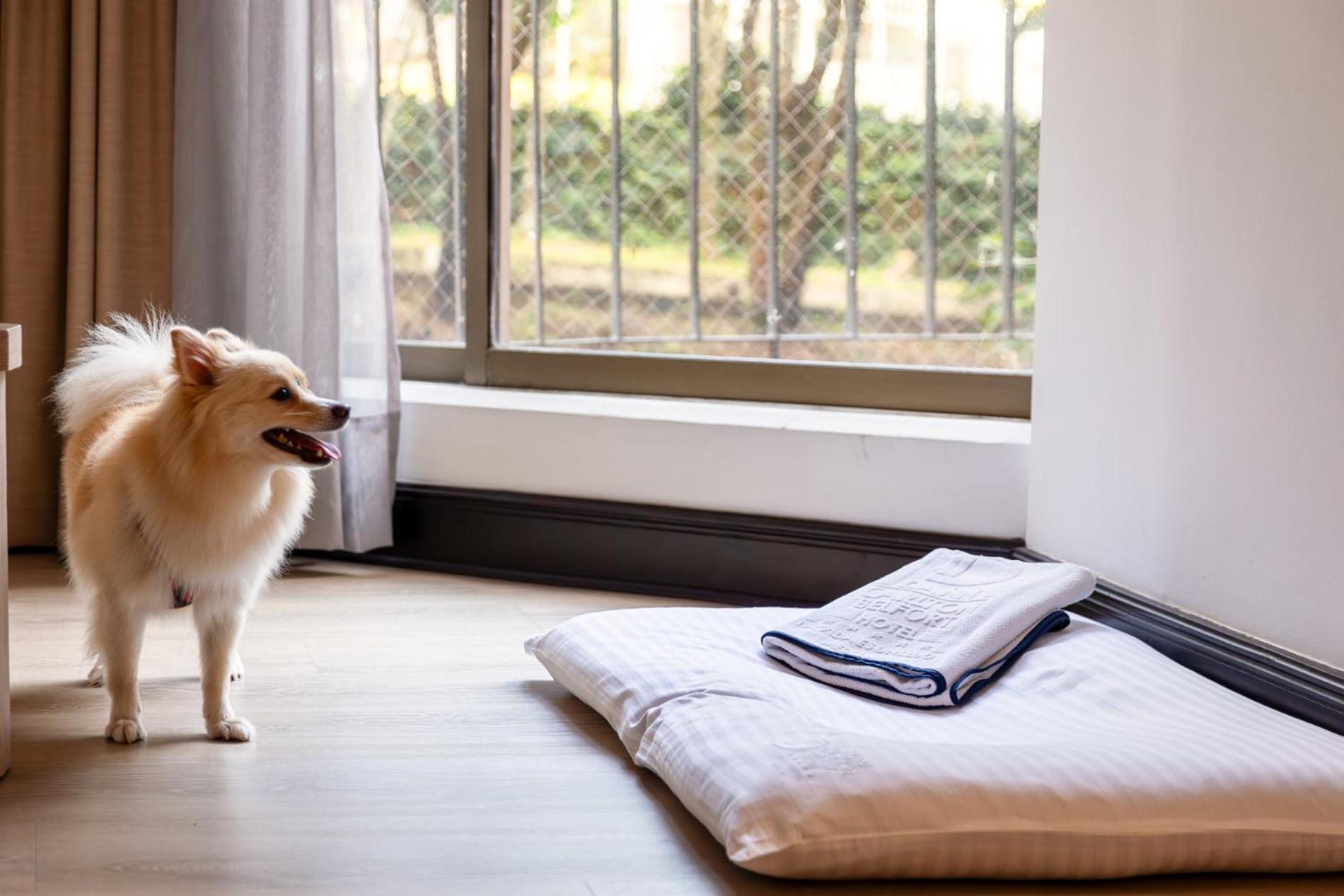 Hotel Dann Carlton Belfort Medellín Exteriör bild A dog bed